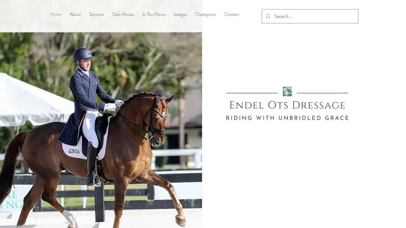 Ots Dressage preview