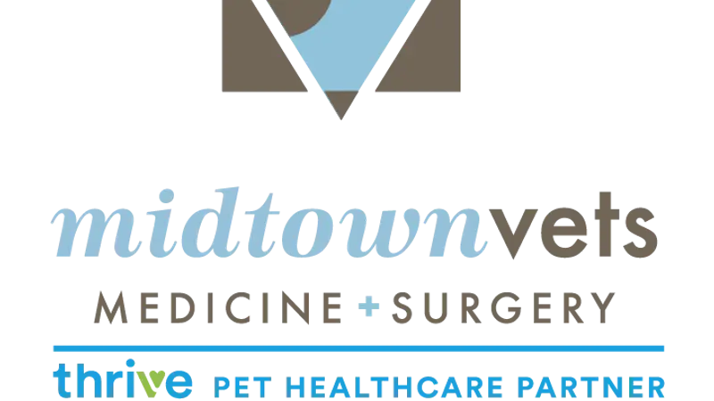 Midtown Vets preview