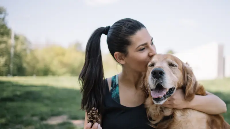 Animal Hospital at Auburn Hills preview