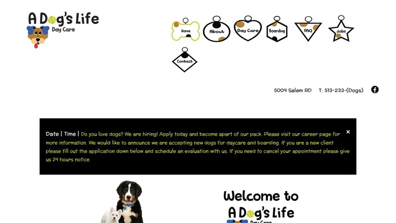 A Dog's Life Daycare and Boarding preview