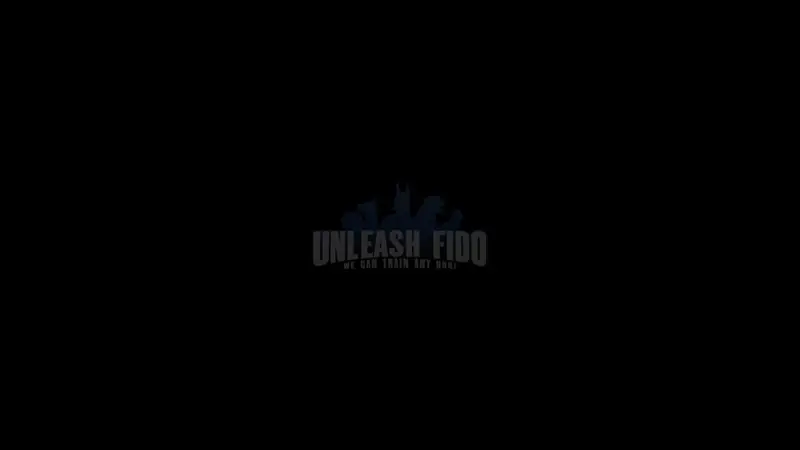 Unleash Fido preview