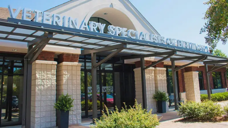 Veterinary Specialists of Birmingham preview