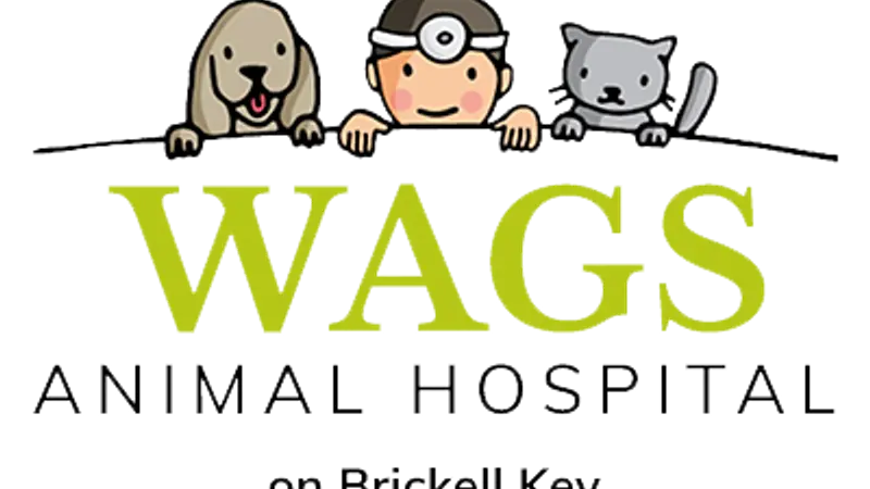 Wags Animal Hospital preview