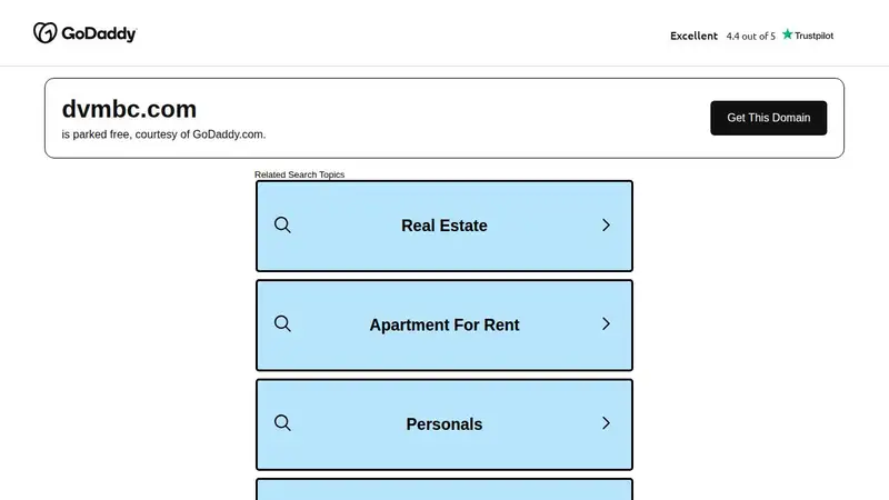 DVM Business Consultants preview