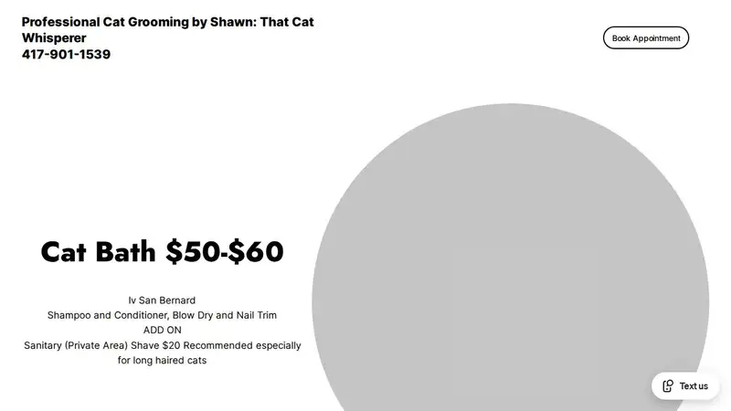 Professional Cat Grooming By Shawn preview