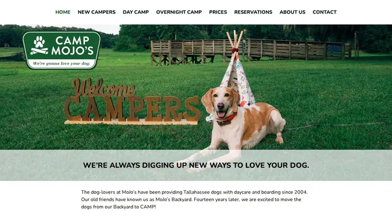 Camp MoJo's preview
