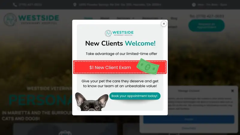Westside Veterinary Hospital preview