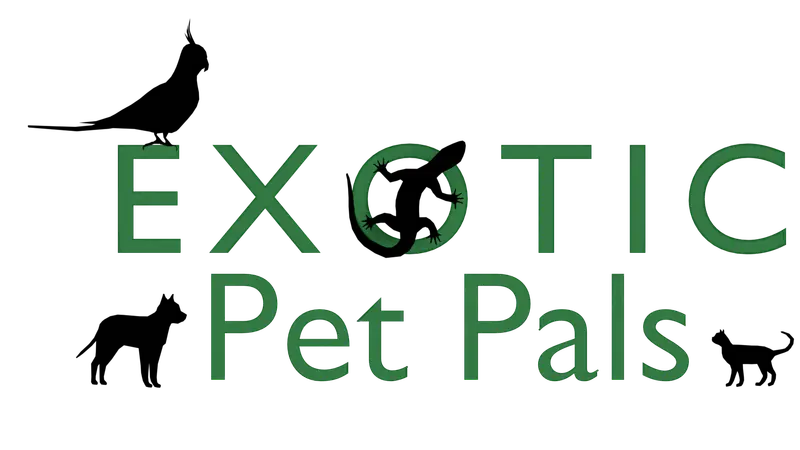 Exotic Pet Pals preview