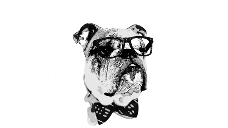 ModernAve Pet Parlor preview
