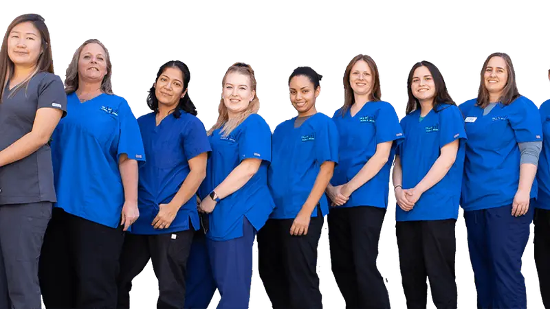Abell Animal Hospital preview