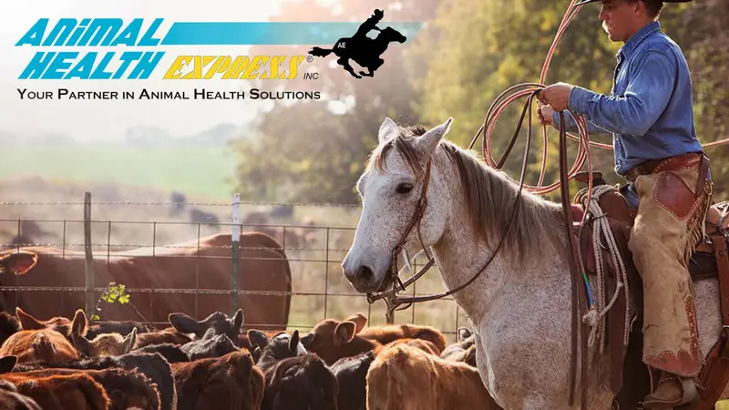 Animal Health Express preview