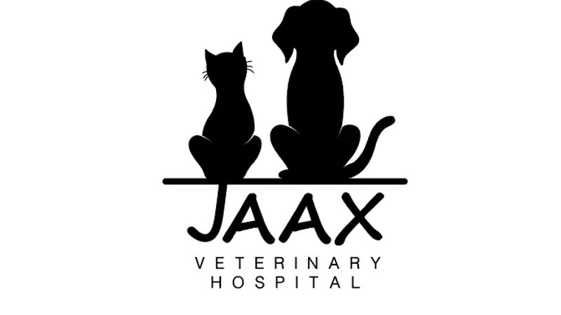 Jaax Veterinary Hospital preview