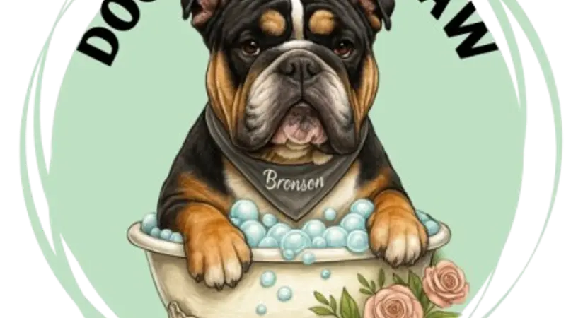 Doggie Day Spaw preview