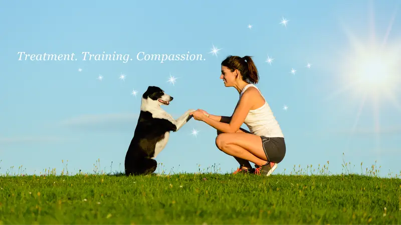 Animal Behavior Wellness Center preview
