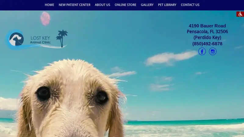 Lost Key Animal Clinic preview