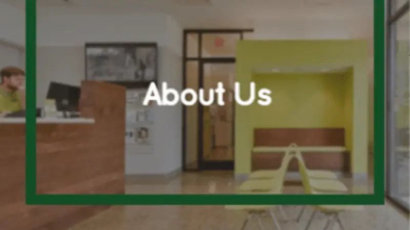 Central Animal Hospital preview