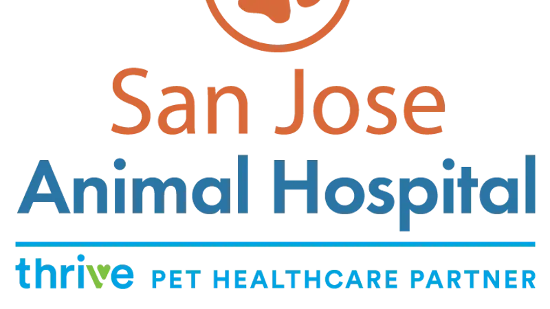 San Jose Animal Hospital preview