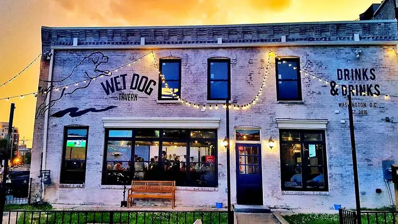 Wet Dog Tavern preview