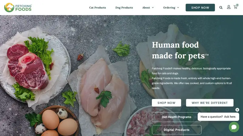Fetching Foods. preview