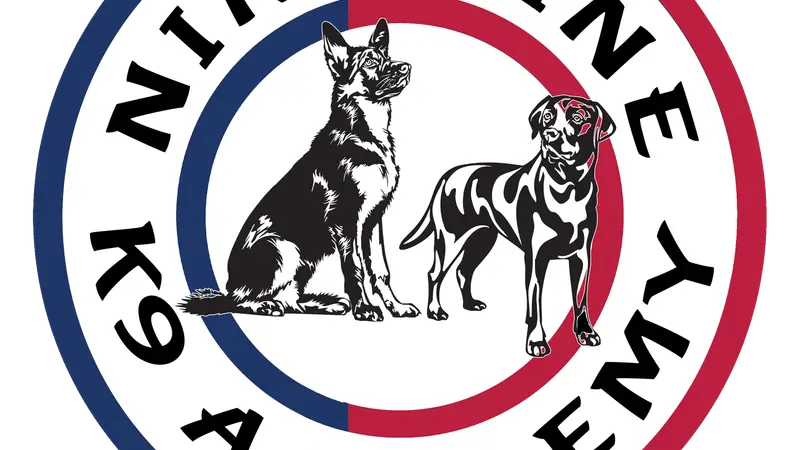 9 Line K9 Academy preview