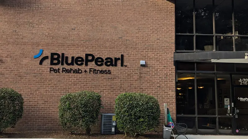 BluePearl Pet Rehab + Fitness preview