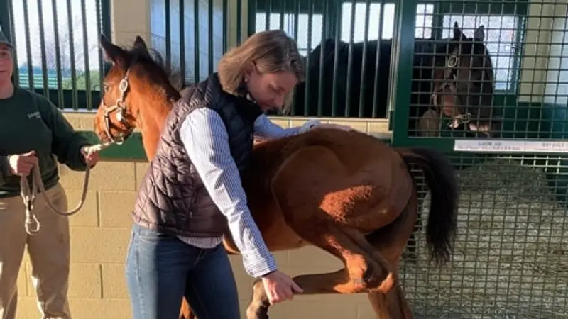 Rood & Riddle Equine Hospital preview