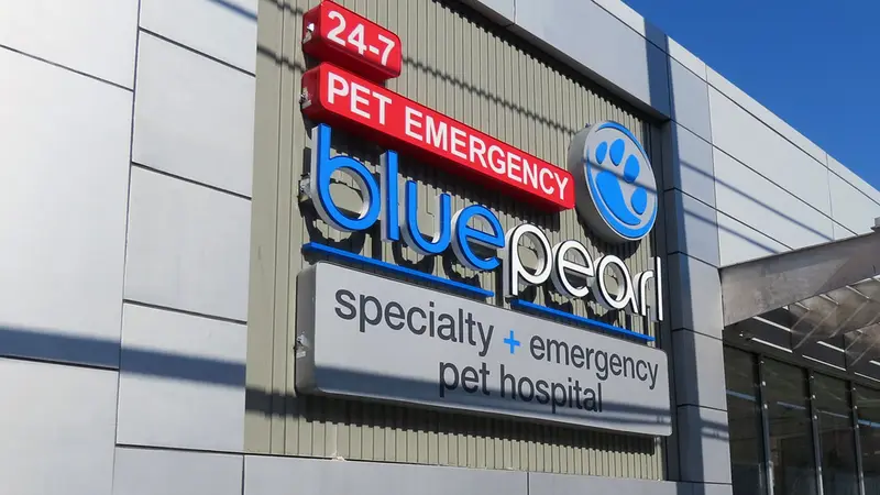 BluePearl Pet Hospital preview