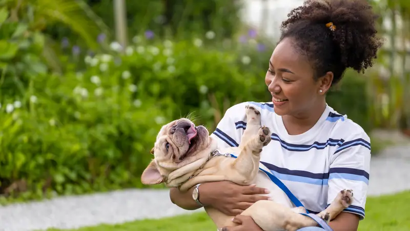 Michigan Road Animal Hospital preview