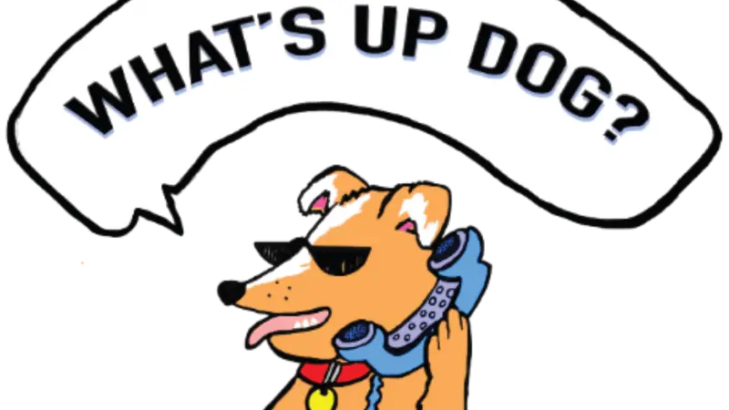 What's Up Dog preview