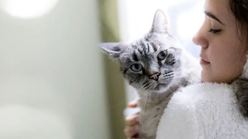 Cincinnati Veterinary Surgical & Wellness Center preview