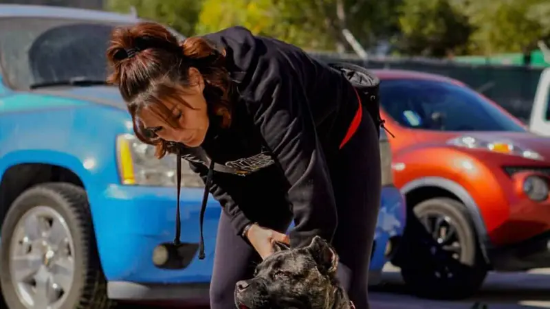Epic Dog Academy LLC preview