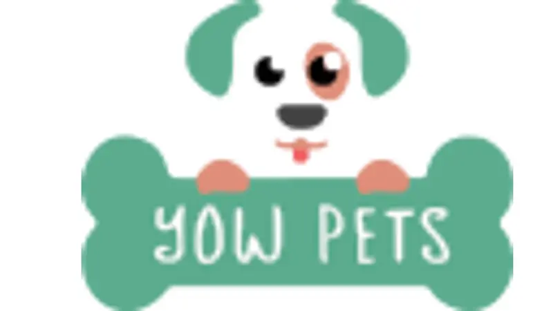 Yow Pet Supplies preview