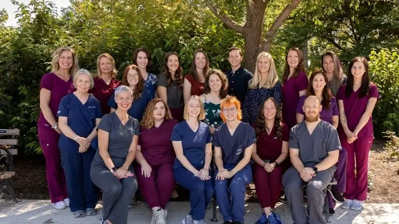 Hillside Animal Hospital preview