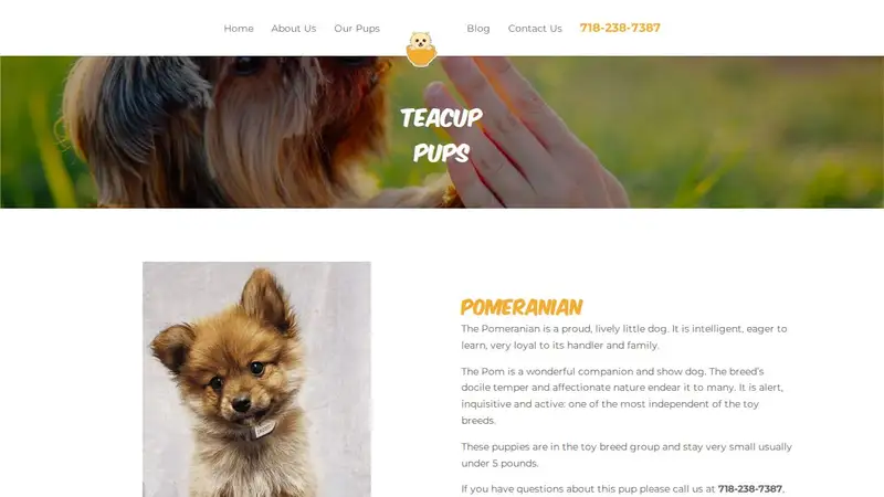Teacup Pups preview