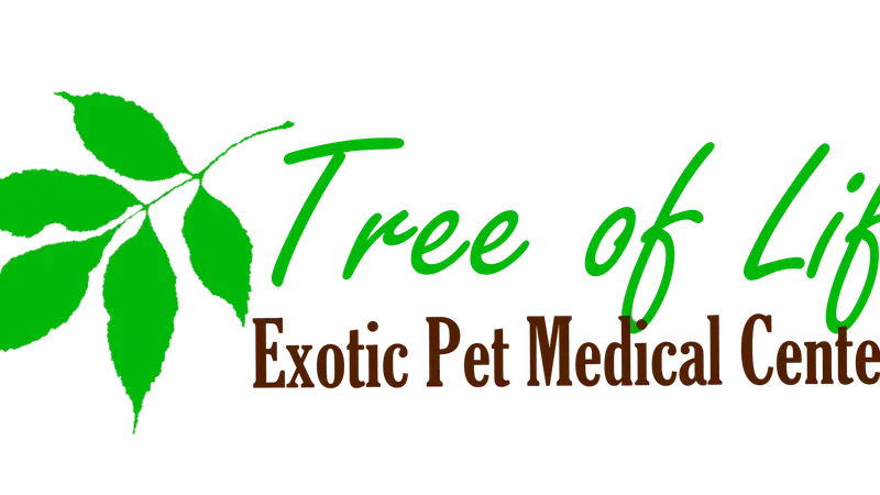 Tree of Life Exotic Pet Medical Center preview