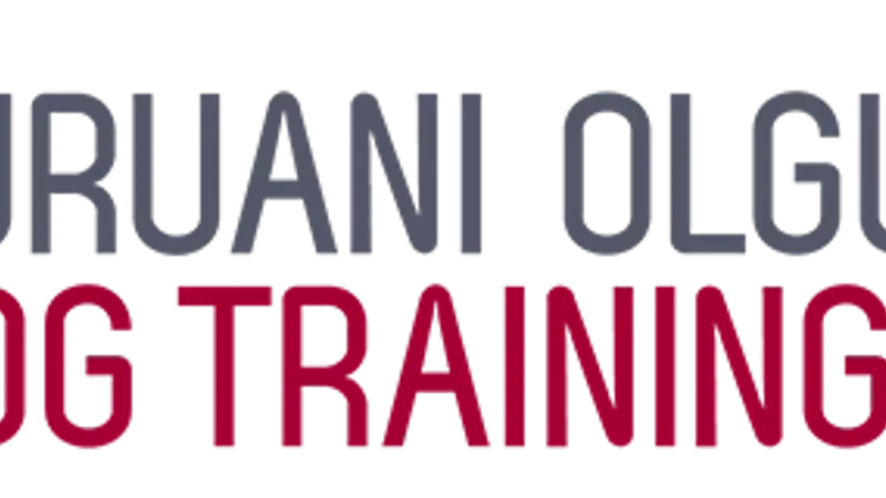 Yuruani Olguin Dog Training preview