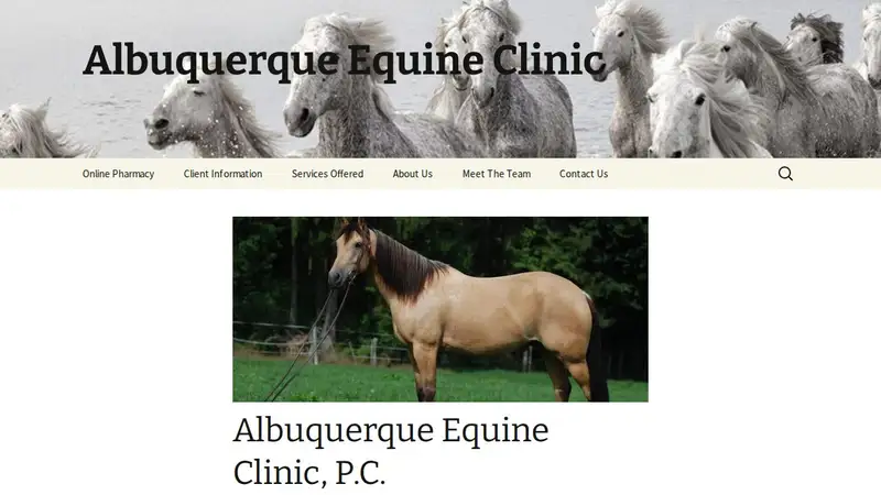Albuquerque Equine Clinic preview