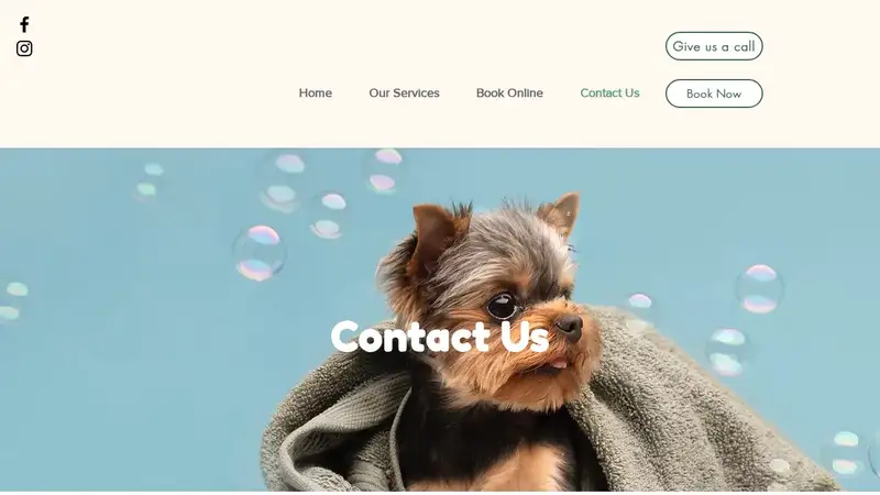 Bubble Buddies Grooming preview