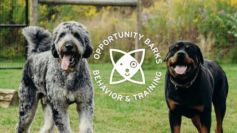 Opportunity Barks Behavior & Training preview