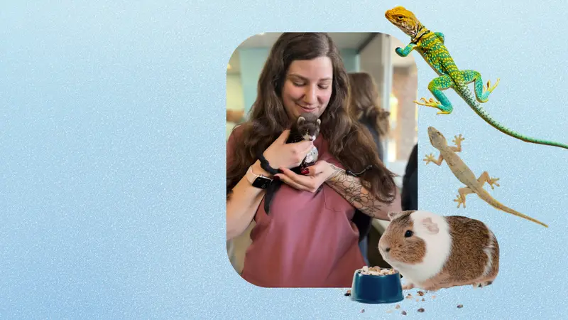 Strawbridge Animal Care preview
