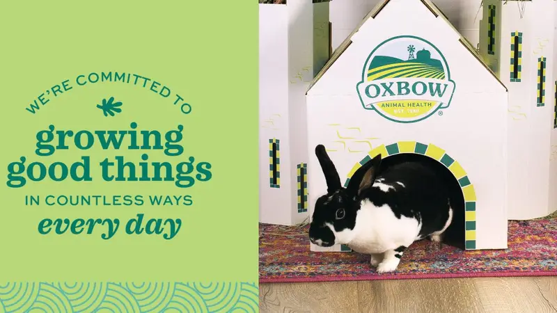 Oxbow Animal Health preview