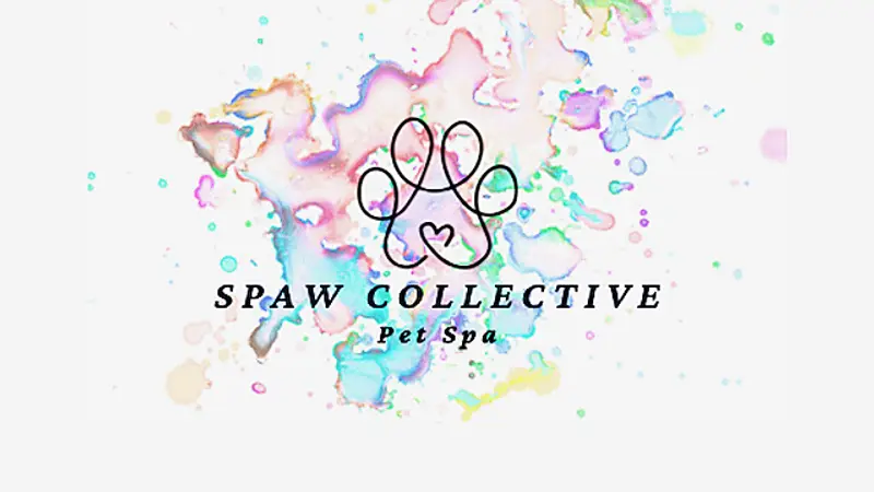 Spaw Collective preview