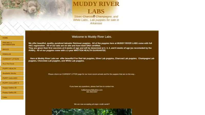 Muddy River Labs preview