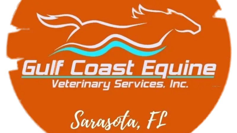 Gulf Coast Equine Veterinary Services preview