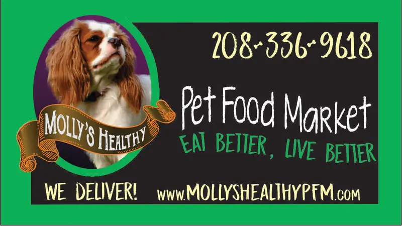 Molly's Healthy Pet Food Market preview