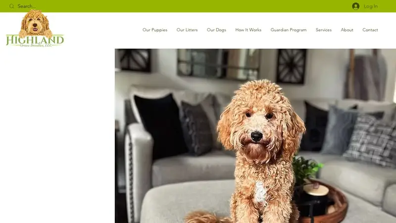 Highland Grove Doodles, LLC preview