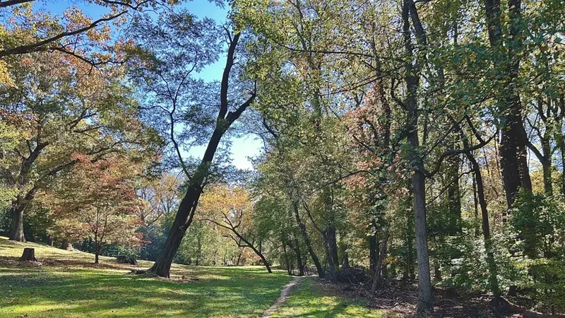 Fort Ethan Allen Community Canine Area preview