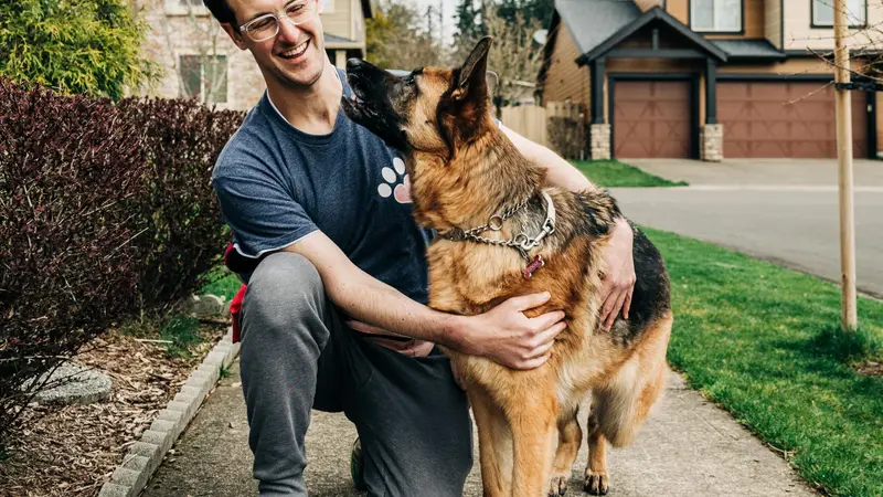 PetSitter Portland preview