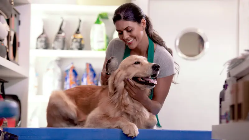 Fur-nando's Groom Room preview