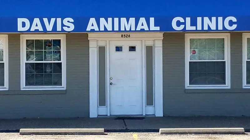 Davis Animal Clinic preview